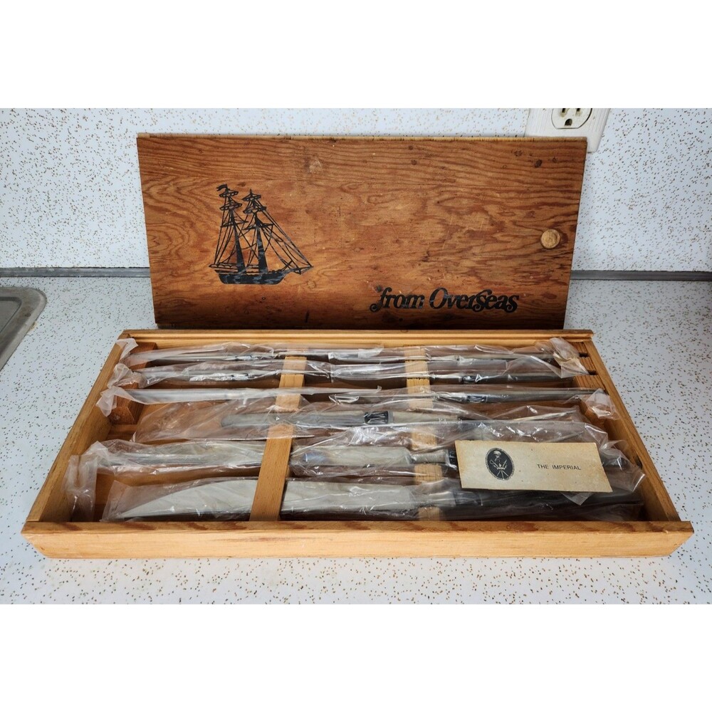 Arthur SALM MCM Stainless Steel Japan Carving Set 9 Piece ASFI Satin w/ Case